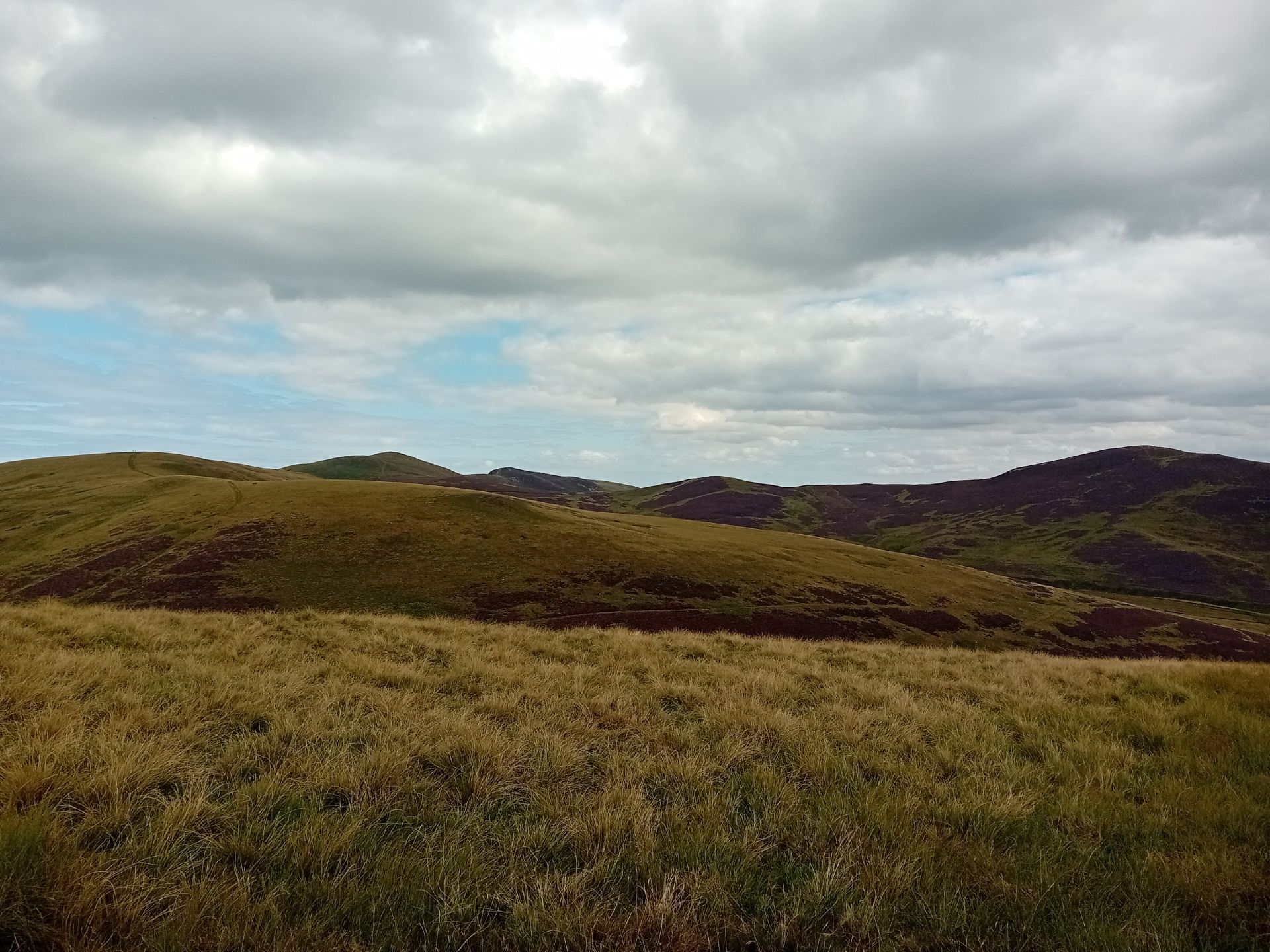 Northern Pentland summits from Harbour Hill